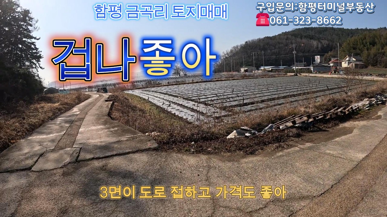 함평군 대동면 금곡리 답 매매합니다.