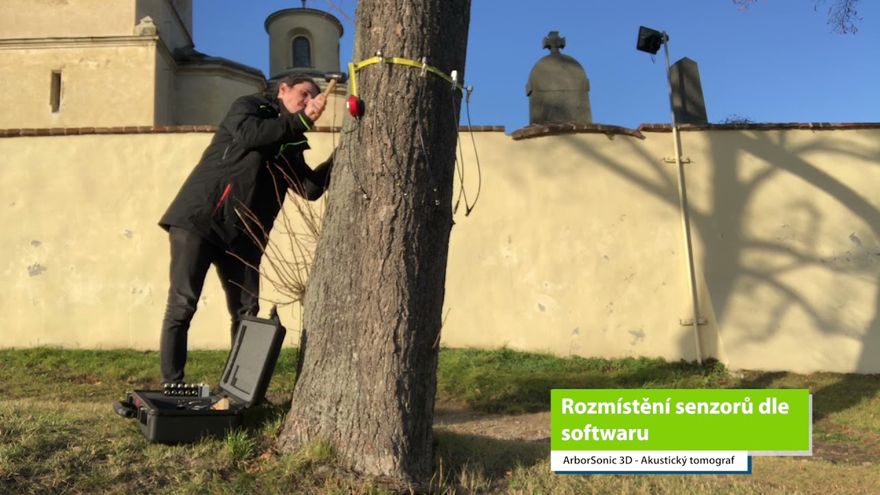 Terénní měření - ArborSonic 3D Akustický tomograf - Karlík 2021