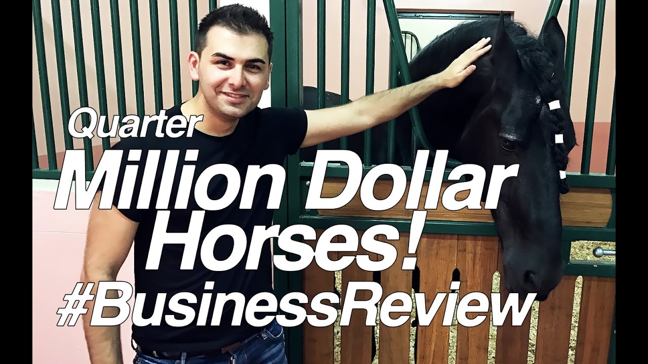 250,000 USD Horses! #BusinessReview #1