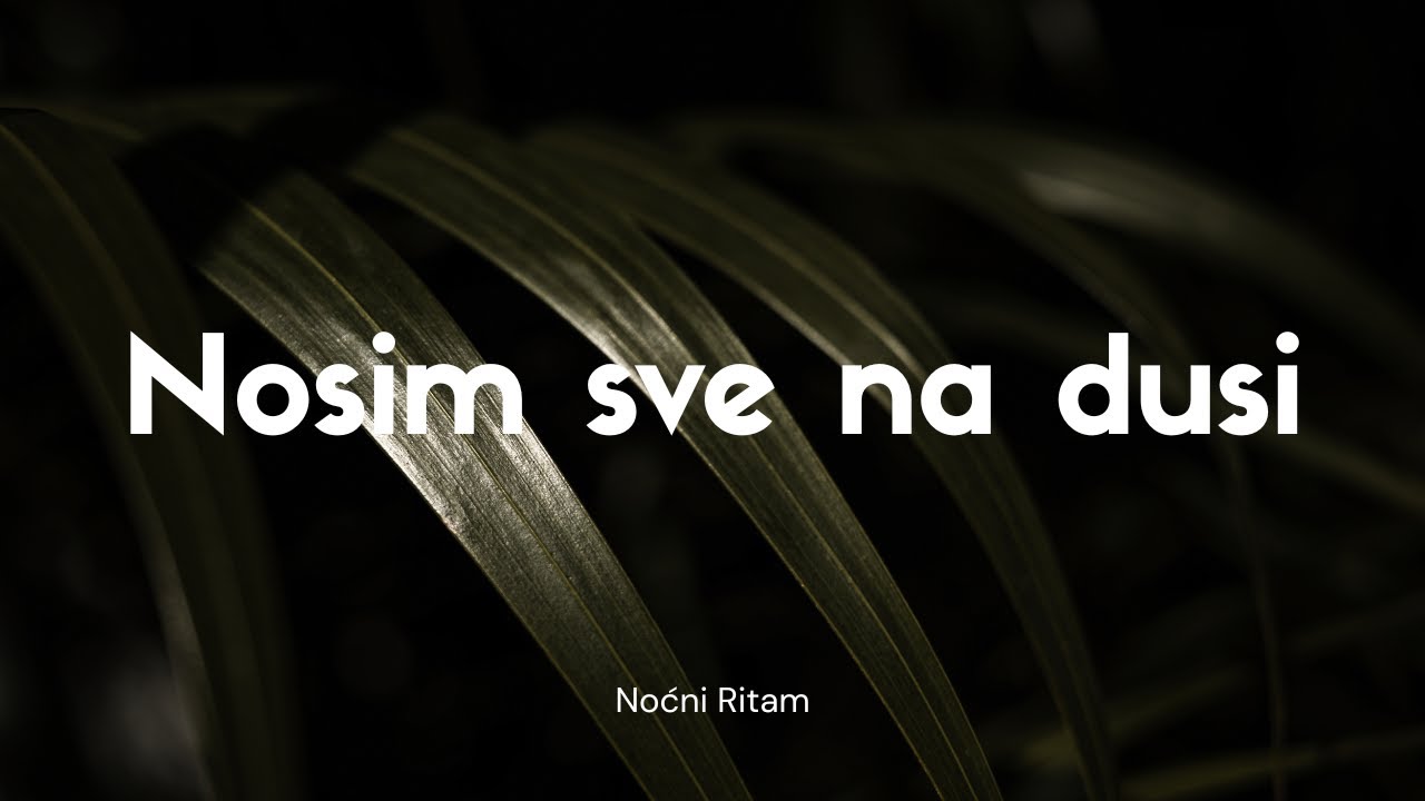 Noćni Ritam &ndash; Nosim sve na du&scaron;i