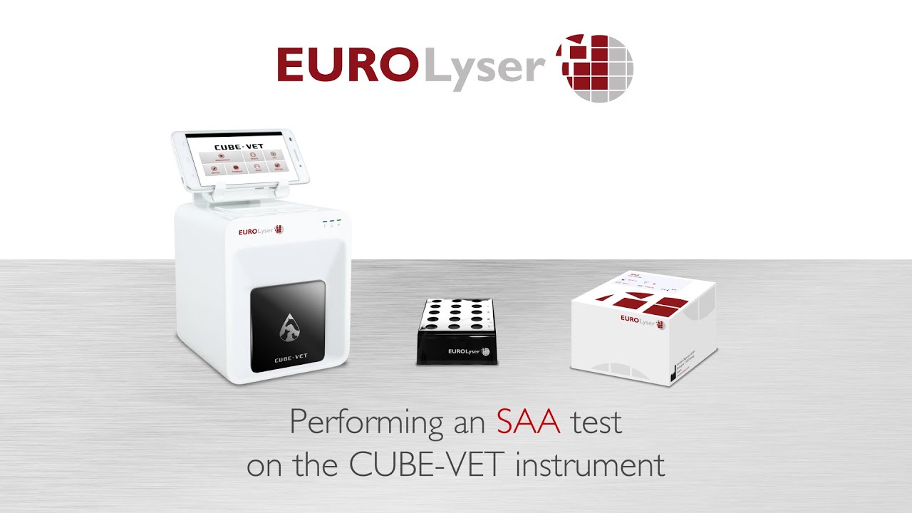 Performing an SAA (Serum amyloid A) VET test on the EUROLyser CUBE-VET