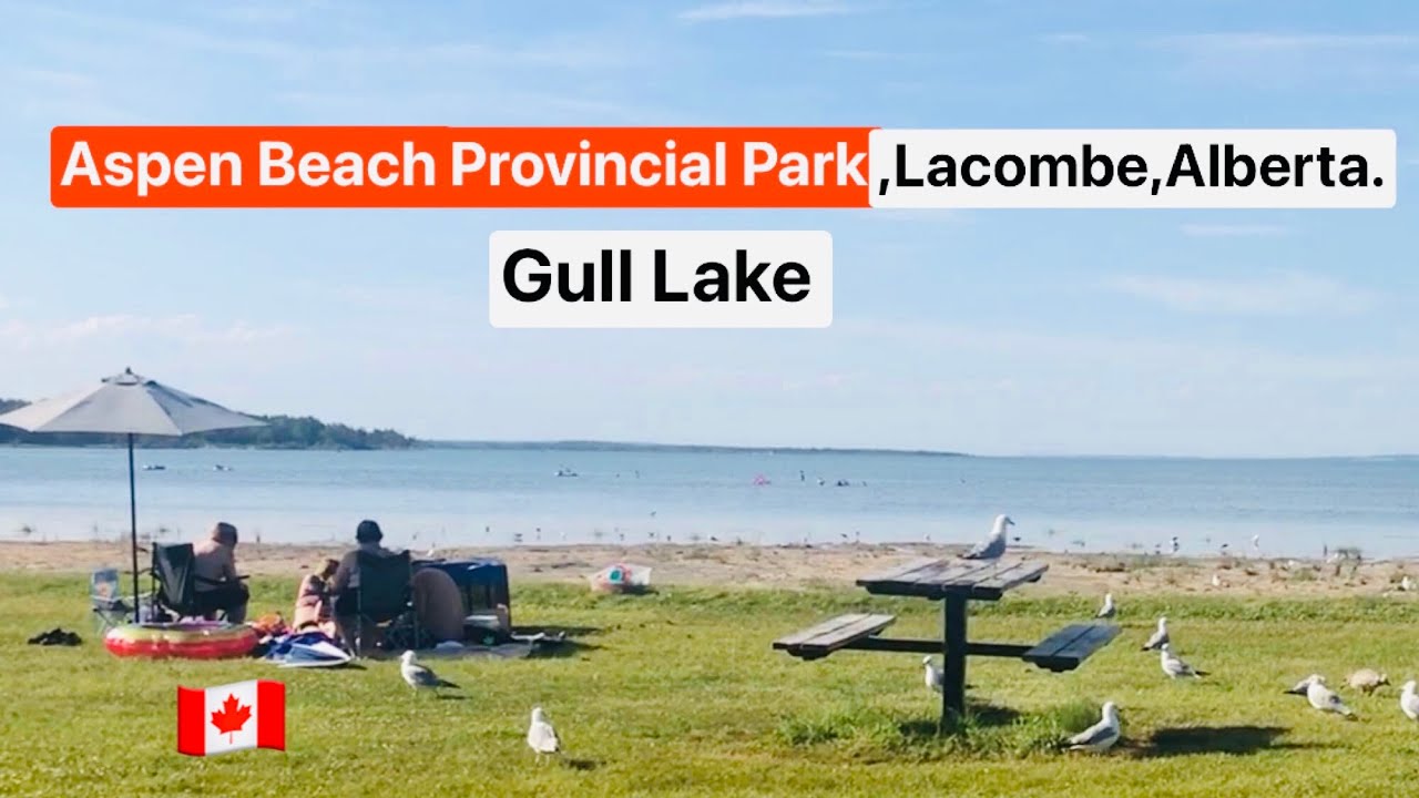GULL LAKE, Aspen Beach Provincial Park, Lacombe, Alberta, Canada.