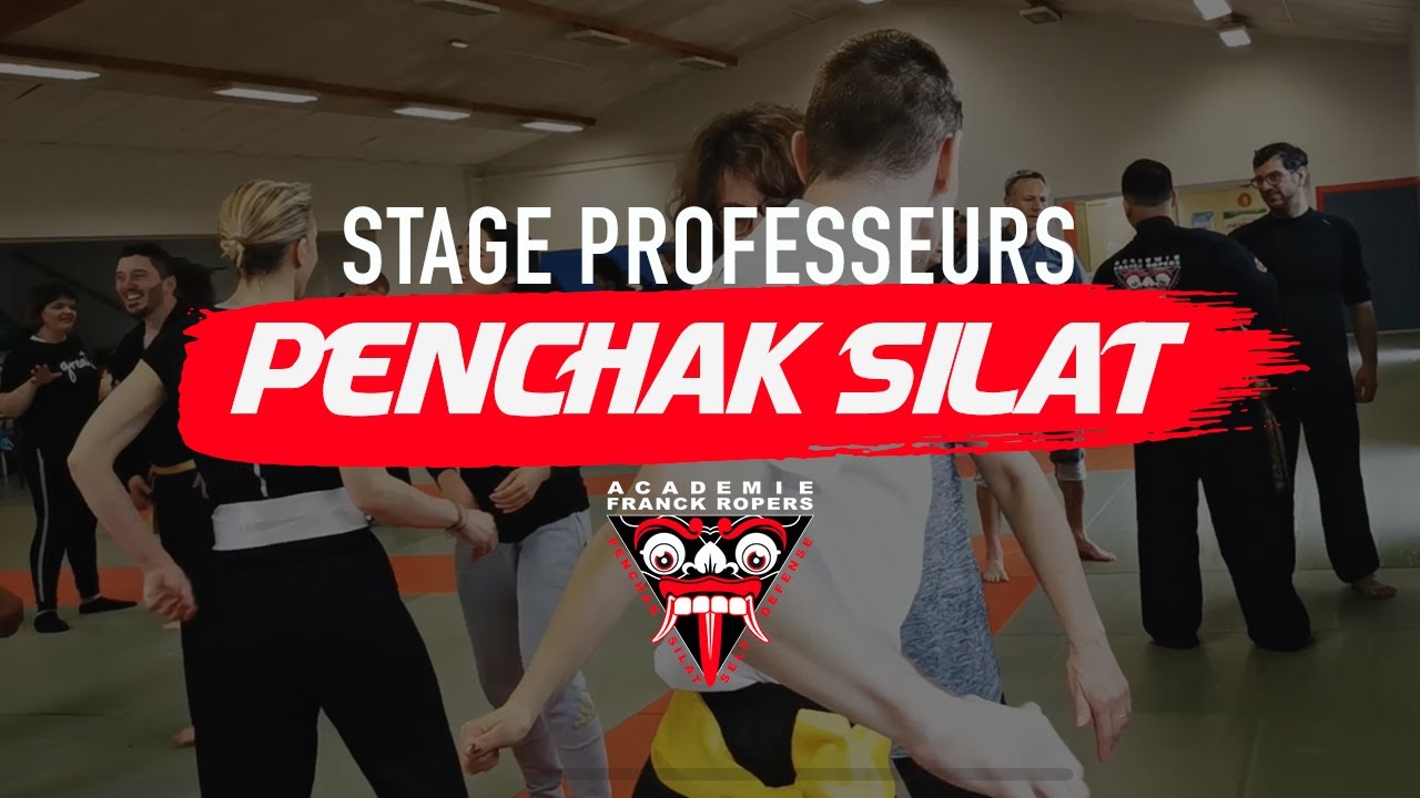 STAGE PENCHAK SILAT /// PROFESSEURS ACADEMIE FRANCK ROPERS /// POITIERS #penchaksilat #artmartial