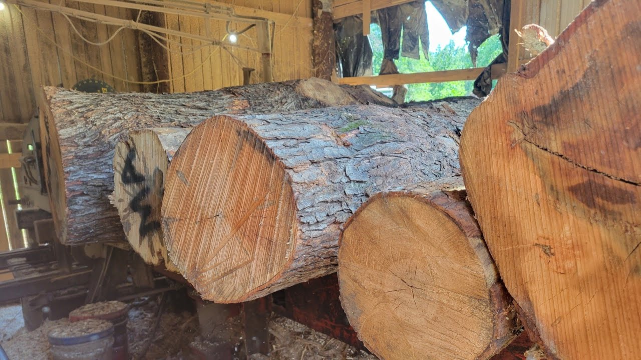 Sawing some Ambrosia maple 🍁  #79