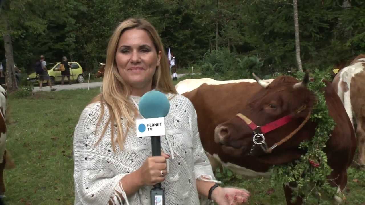 Kravji bal v Bohinju