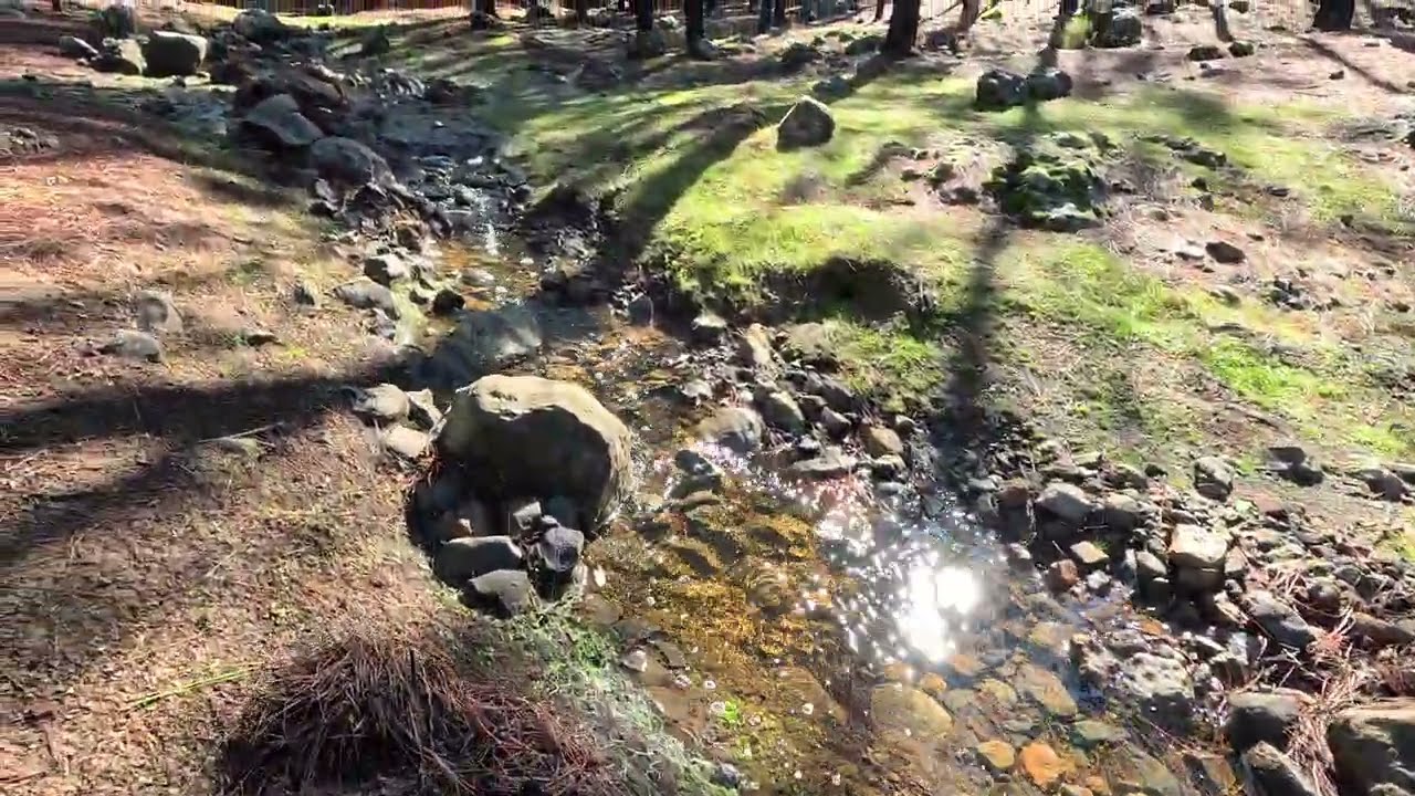 Sonido de Cascada | Agua Cayendo en el Bosque | Ruido Blanco