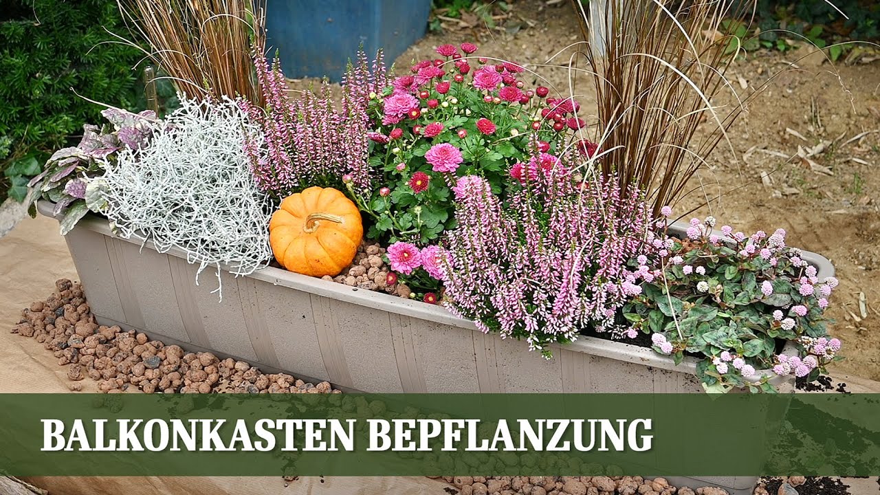 Balkonkasten Bepflanzung für den Herbst