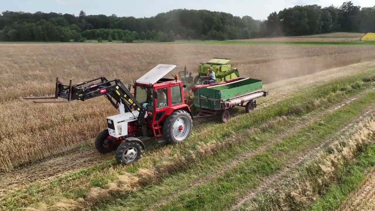 Belarus MTZ 82 Ernte 2k23