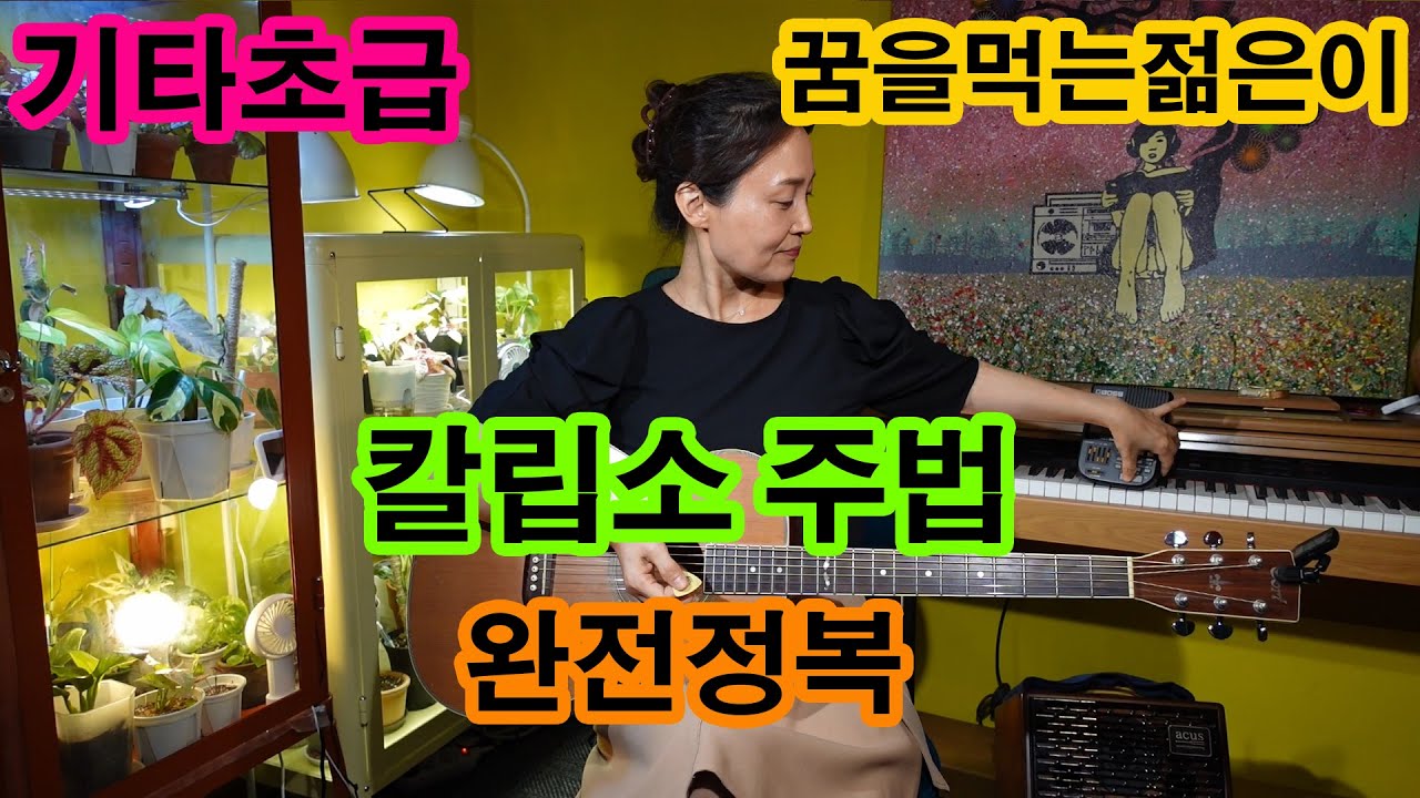 제14강 칼립소주법 완전정복 ,꿈을먹는젊은이, 초등생도 따라 칠 수있는 쉬운 기타강의