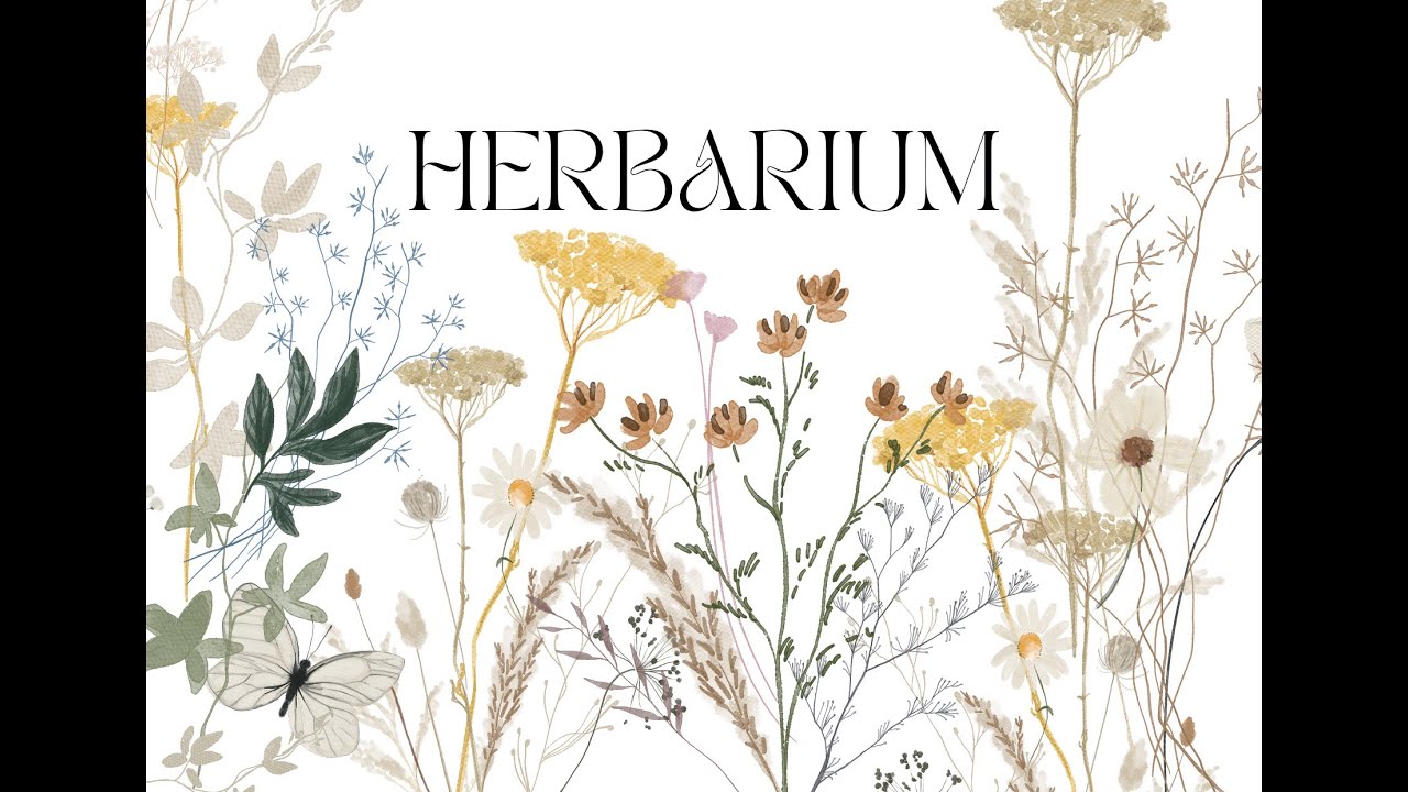 Erbario digitale - M. Esposito - 1F - a.a.24/25