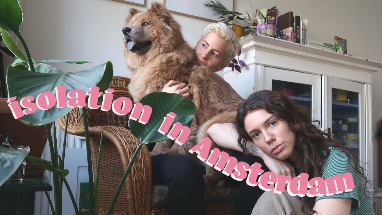 7 days of quarantine in the Netherlands