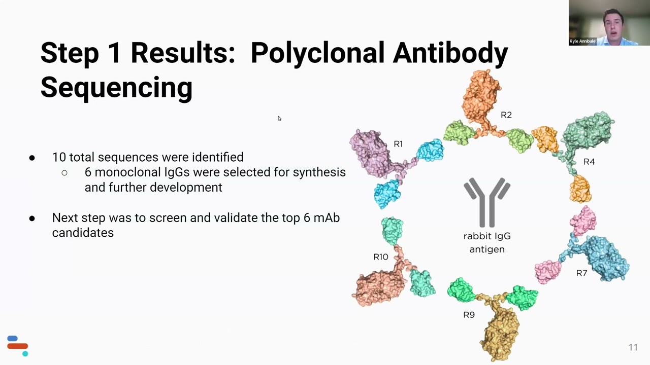 New Antibody Characterization Essentials from Discovery to Clinic
