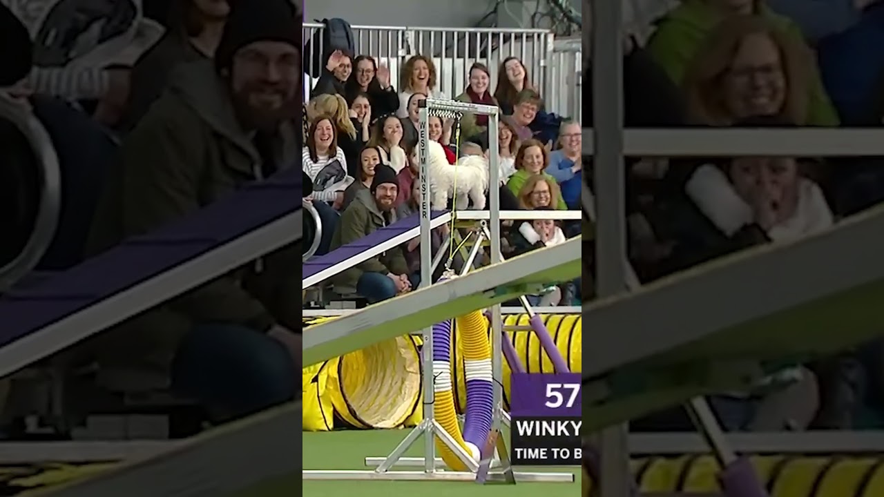 Winky is the life coach we never knew we needed #agility 💅
