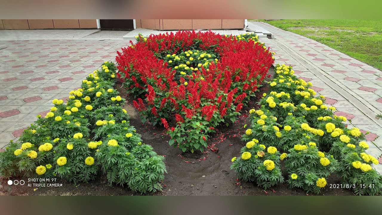 Прогулки по небу. Завитинск.
