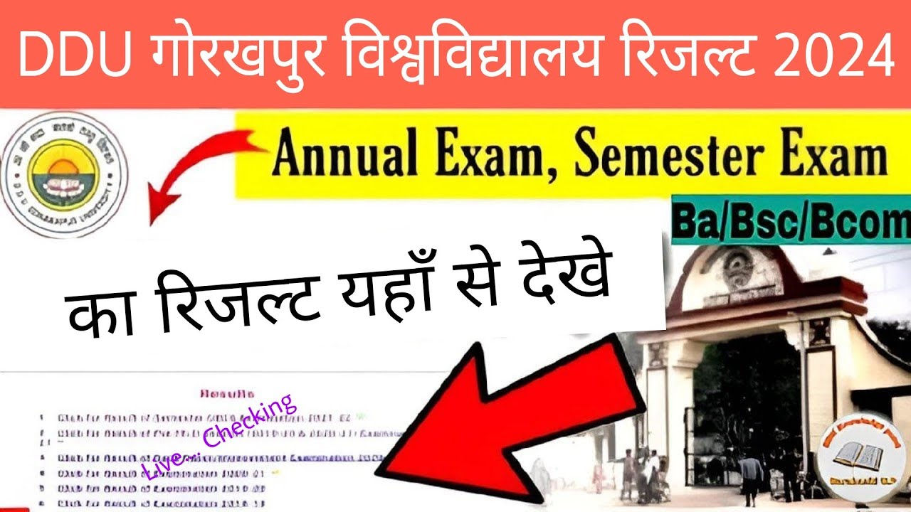 ddu gorakhpur university ka result kaise dekhen 2024 |how to check ddu gorakhpur university 2024 |BA