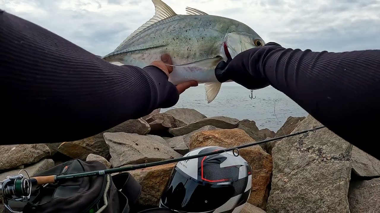 SHORE FISHING  [ Kuying Culter Game ] Travel Rod