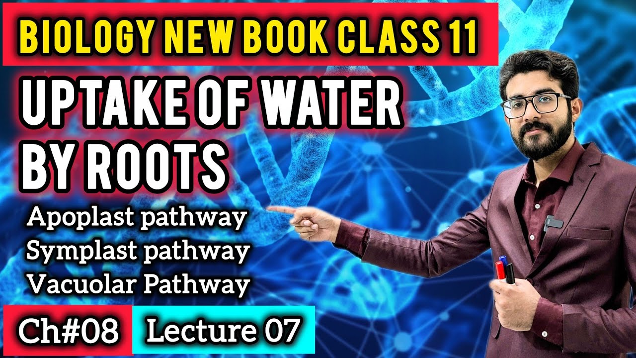 Uptake of Water by Roots Class 11 | Apoplast, Symplast and Vacuolar Pathway | Biology New Book