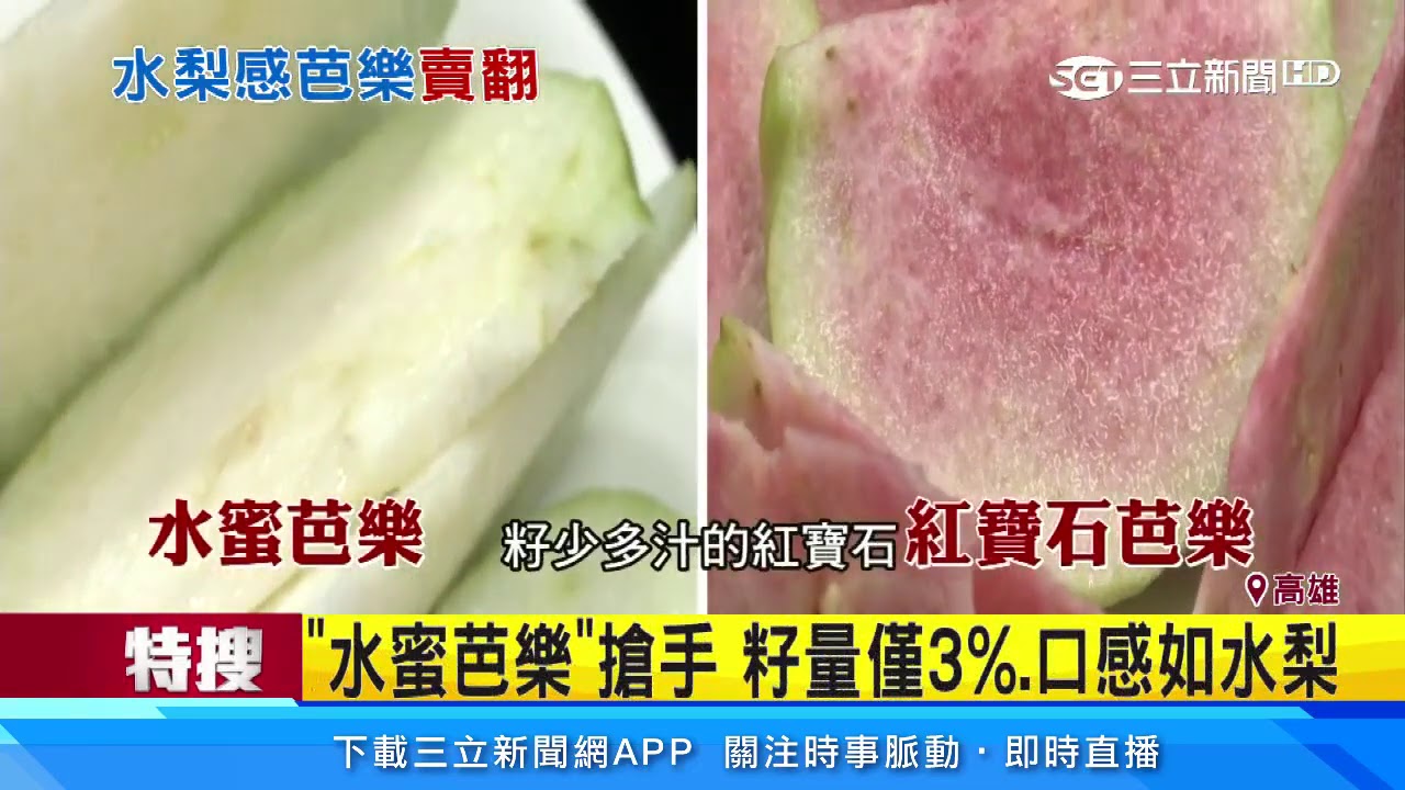 「水蜜芭樂」搶手　籽量僅3％、口感如水梨｜三立新聞台