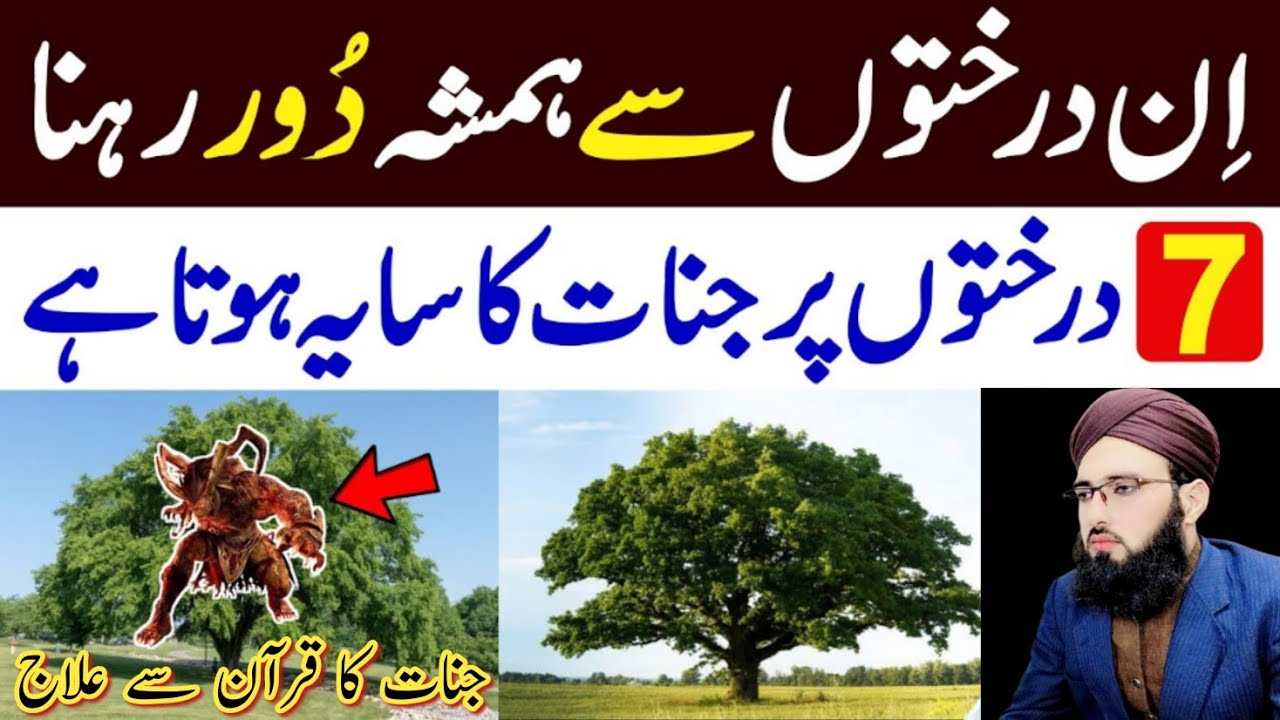 7 Darakhton Par Jinnat Ka Saya Hota Hai | Khabees Jinn Kin Pedon Par Rehte Hain? | Allama Abdul Rauf