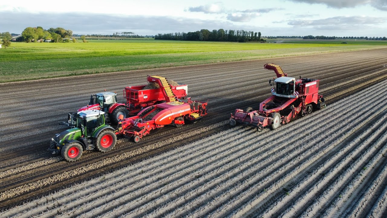 Pootaardappelen rooien, laden en inschuren | Landbouwbedrijf Maters | Harvest potatoes | 2024