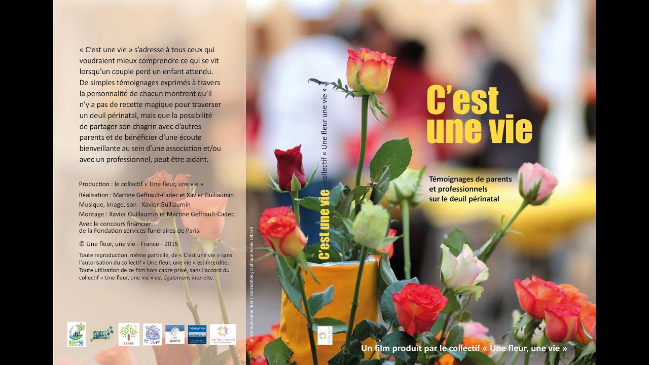 C'est une vie