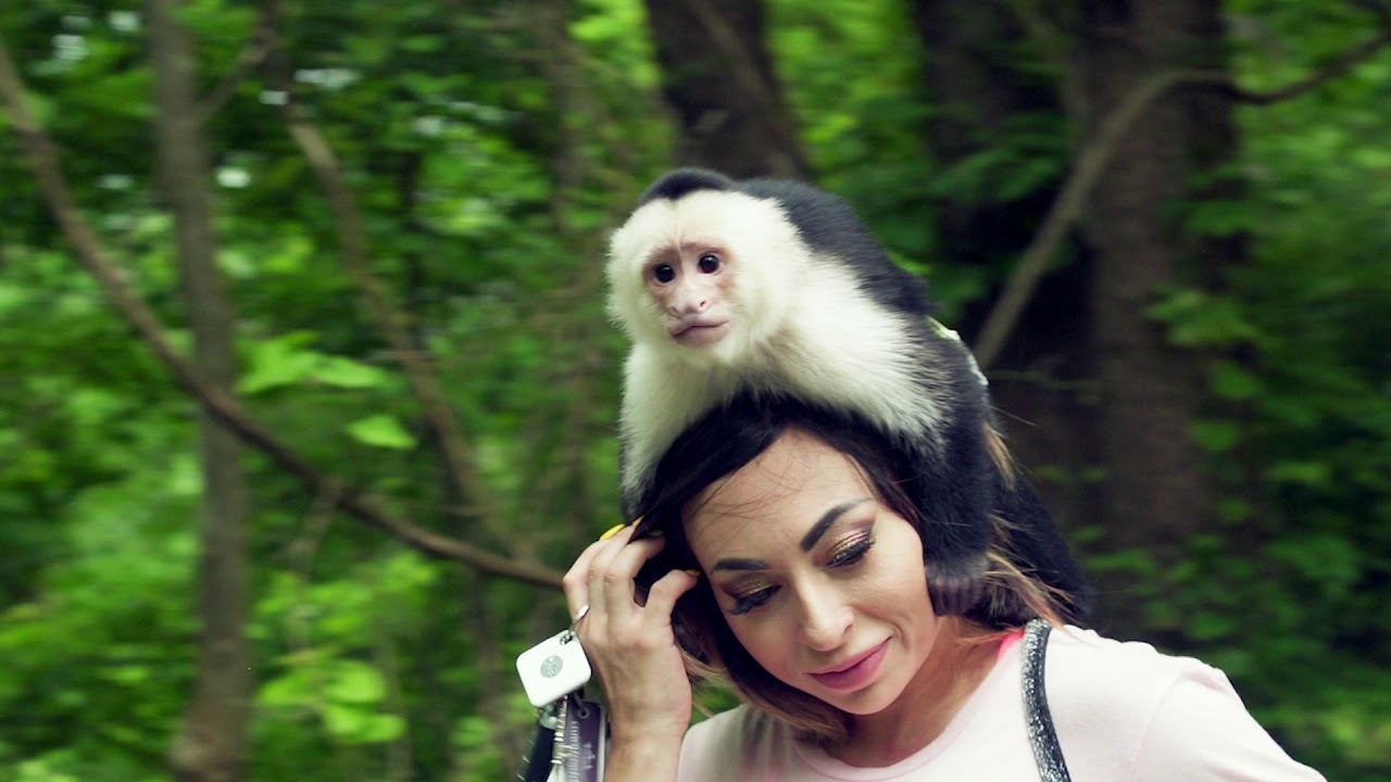 Meet 'Monkey Mom,' who is raising two monkeys as if they were her own kids