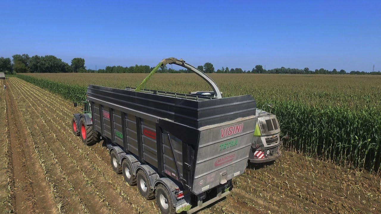 CLAAS JAGUAR 960 - VISINI TETRA 4 ASSI | Insilato mais 2016