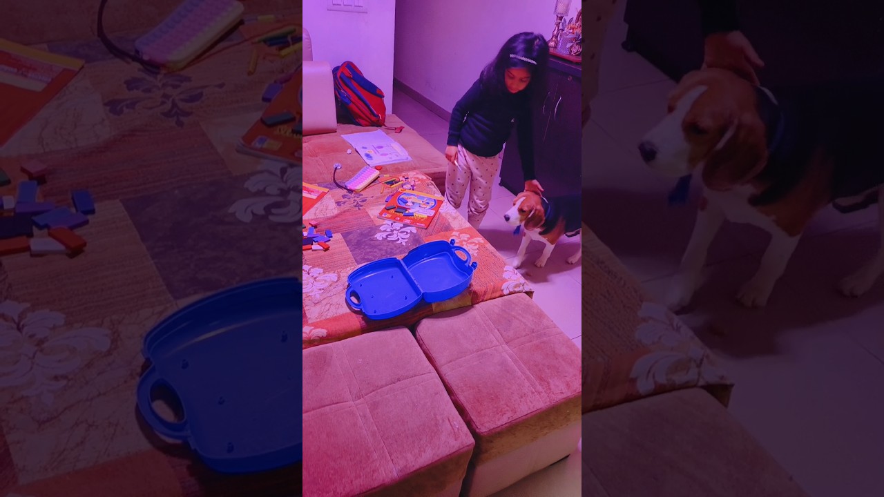 Mini Vlog # Registered for half Marathon # Rest Day # 100 Min run # Now more focussed 😊👍