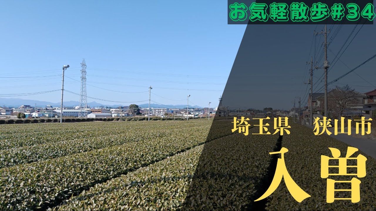 【お気軽散歩】埼玉県狭山市入曽を散策する
