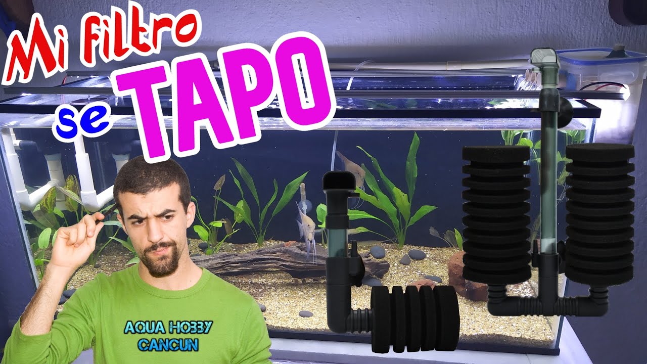 Limpiar Filtro de esponja / Mi filtro de esponja saca pocas burbujas / mi filtro se tapo