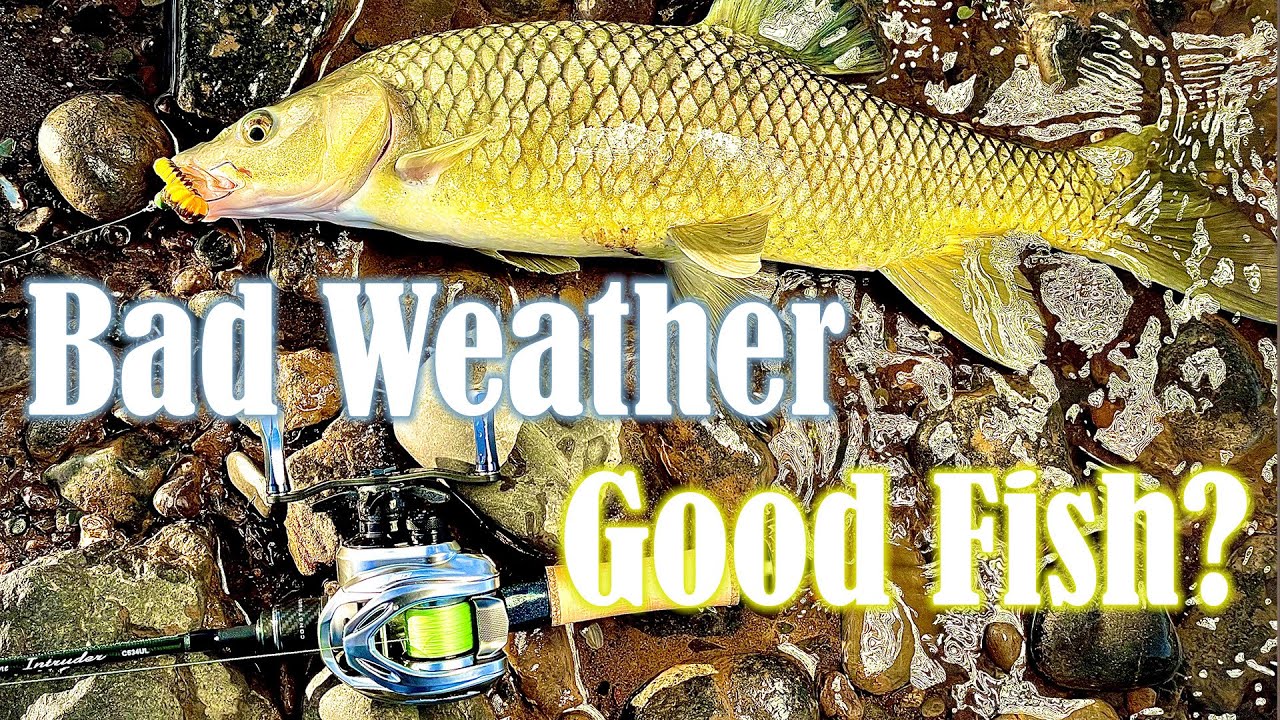 Bad weather = Good fish
