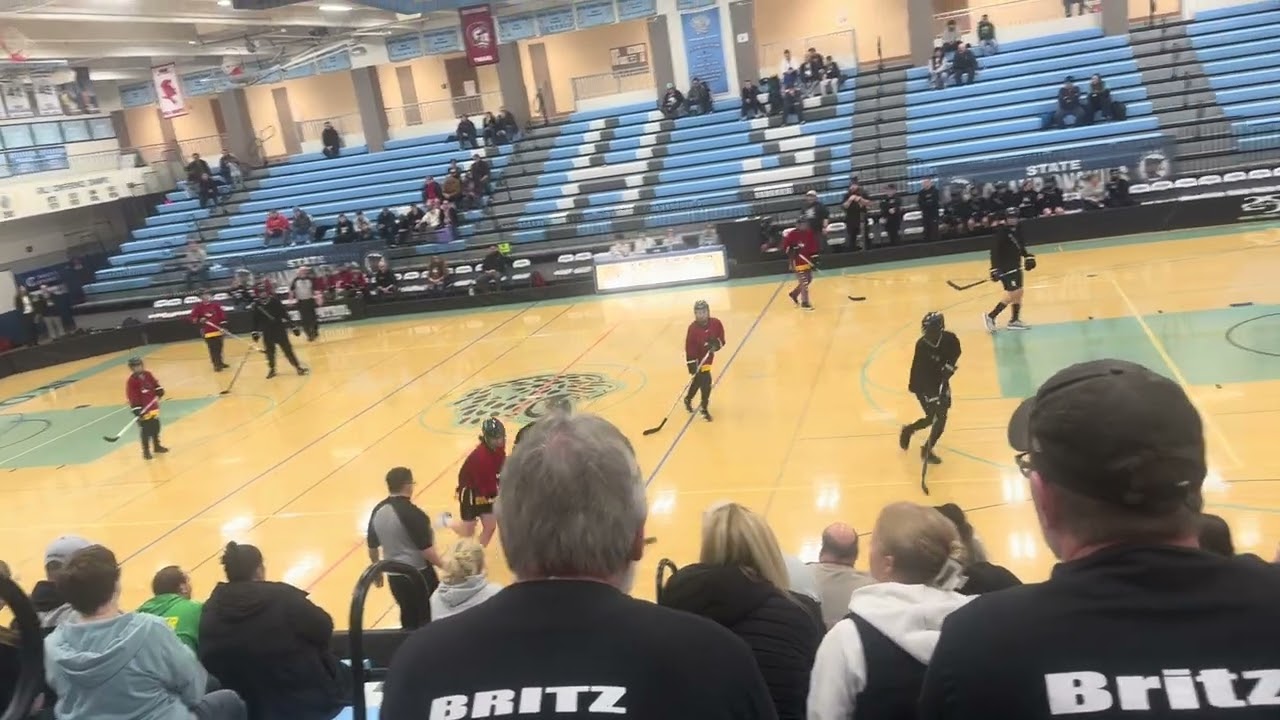 Blazing Cats vs Mankato Knights state tournament semifinal pt 2 