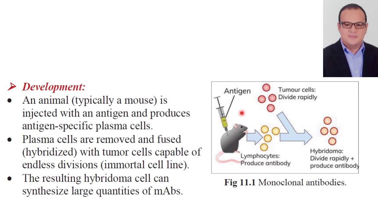 Biologics in dermatology (Ahmad Kamel MD) part 1