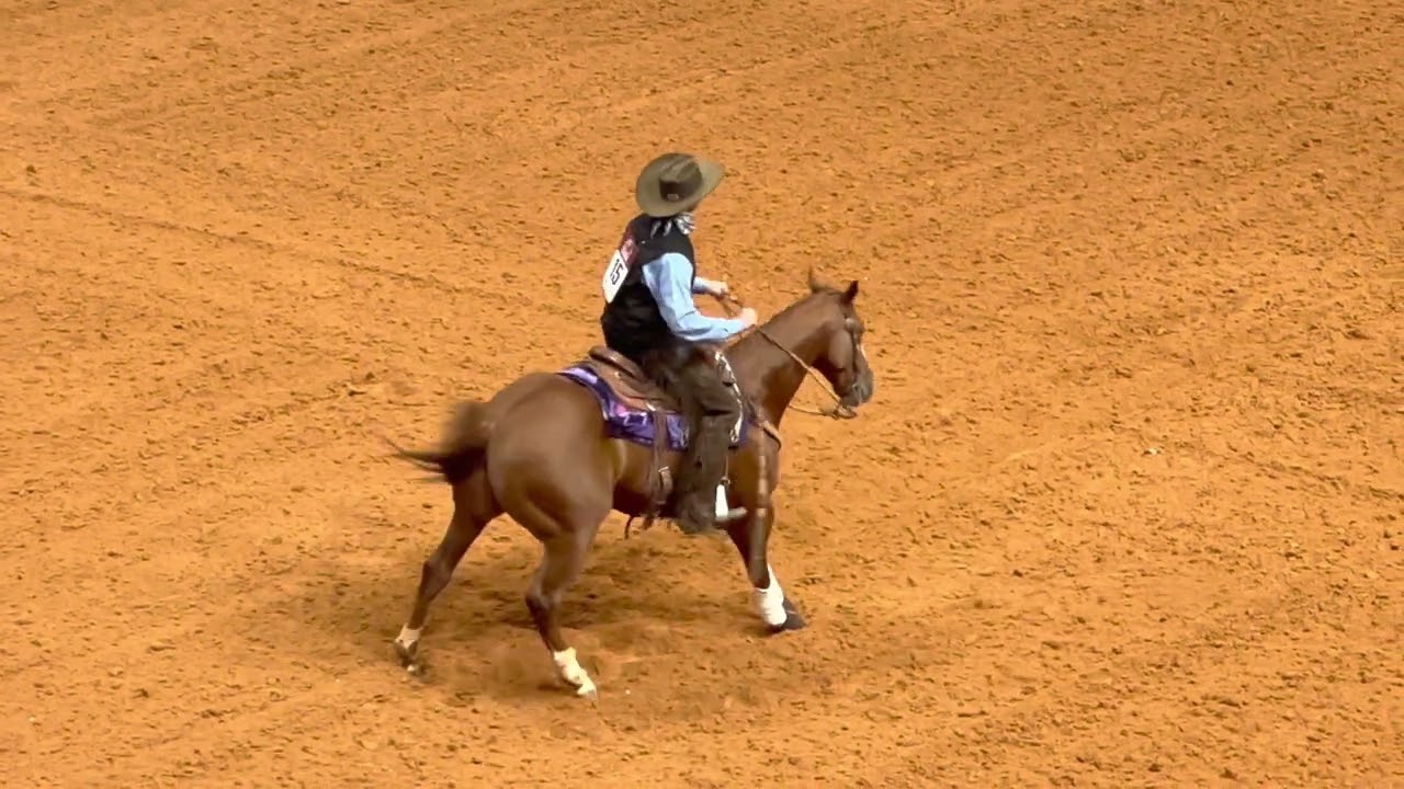 2023 Worlds greatest horseman highlights steer stopping and reining