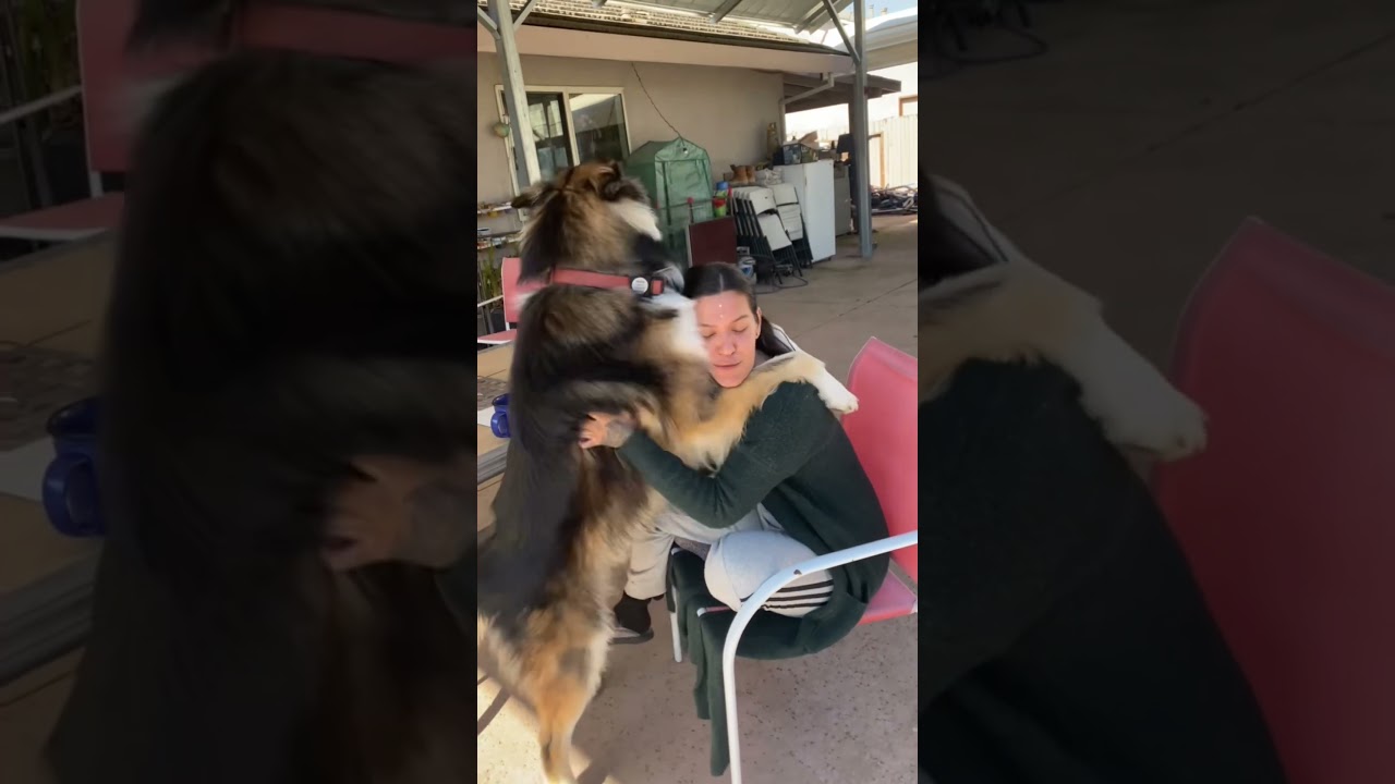Utonagan Dog Gives Kisses