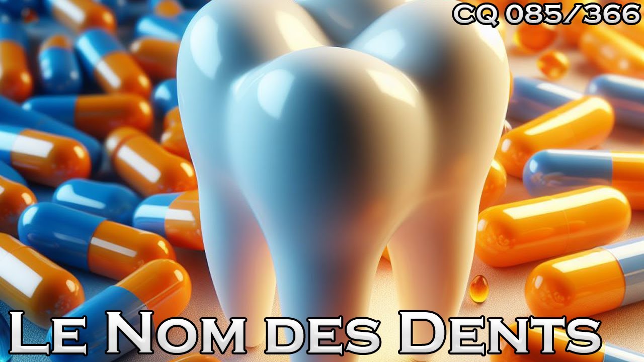 Les Noms des Dents - CQ