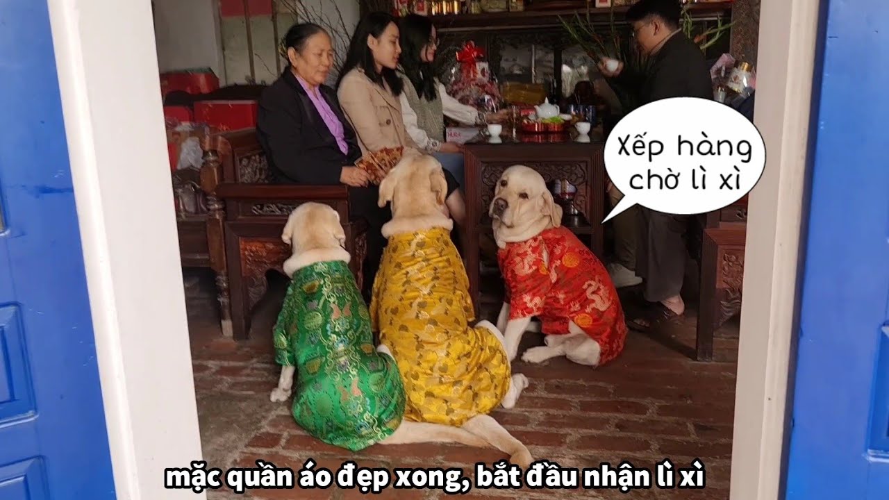 Lần đầu Thắm ăn Tết ở nhà chồng, Kim Chi lấc cấc làm vỡ chậu cây của ông nội