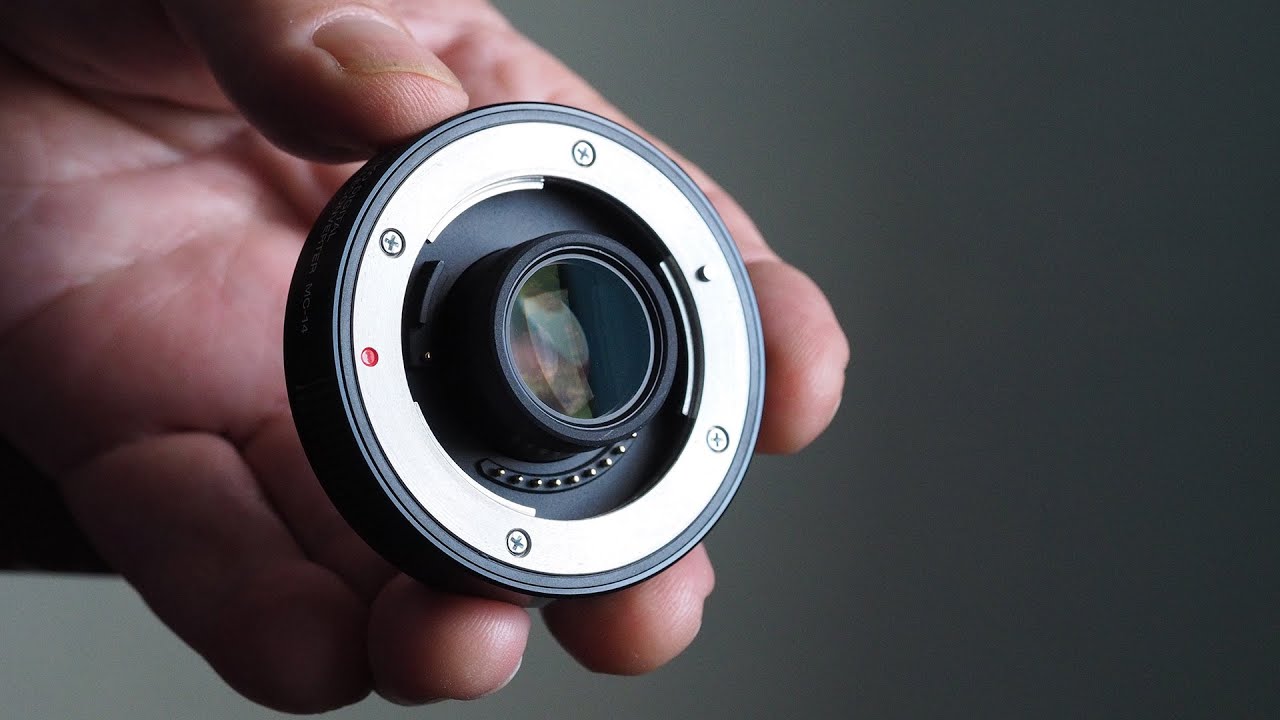 Обзор телеконвертера Olympus MC-14 1.4x для объектива 40-150mm f/2/8 Pro Zoom