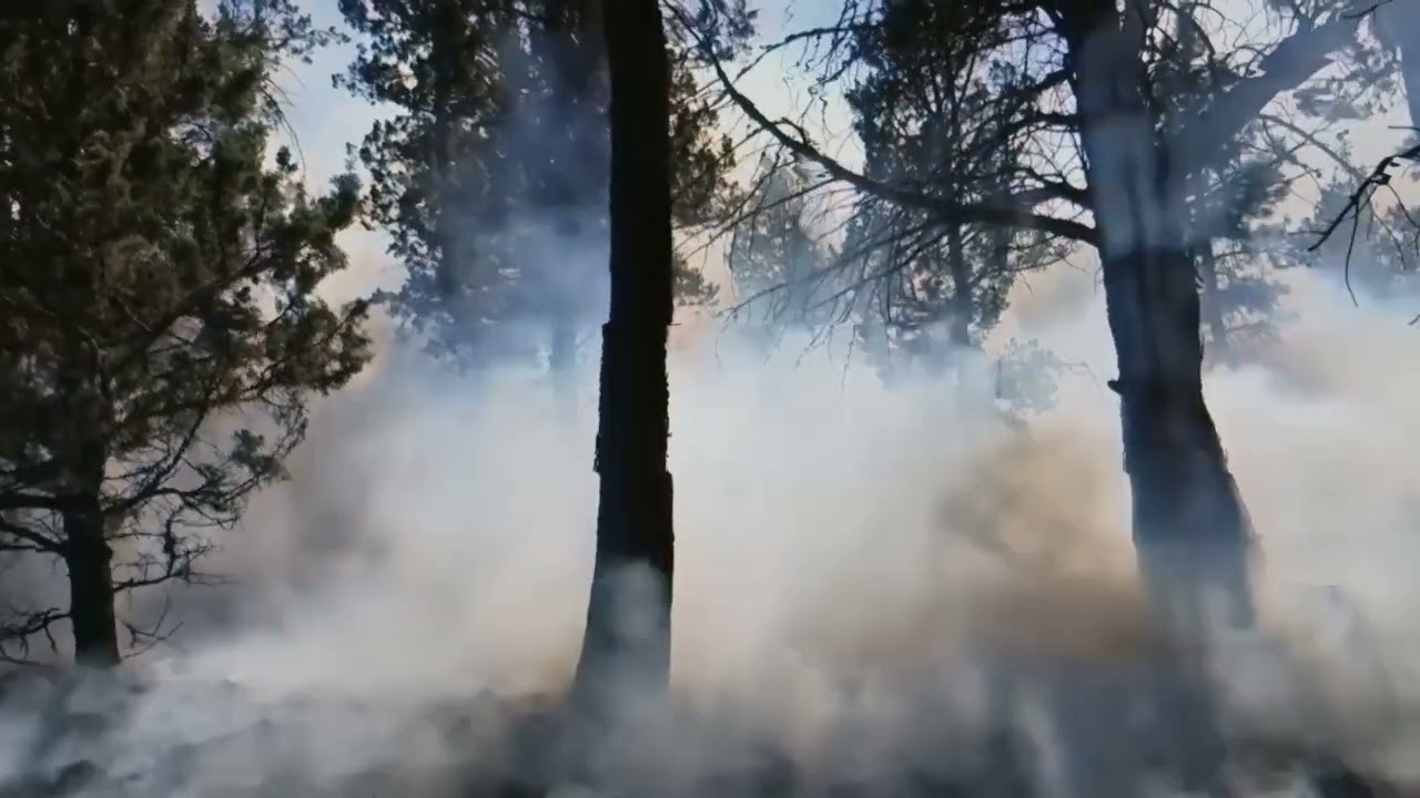 SACCAGE - Fumigation [OFFICIAL VIDEO]