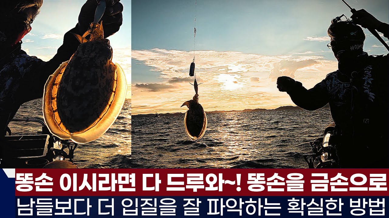 [풍낚TV]갑오징어낚시 남들보다 더 입질을 잘 파악하는 확실한 기법/똥손을 금손으로 바꾸어 드립니다/에기의 갑오징어 사이즈 변별력/백사장아크호/Cuttlefish fishing