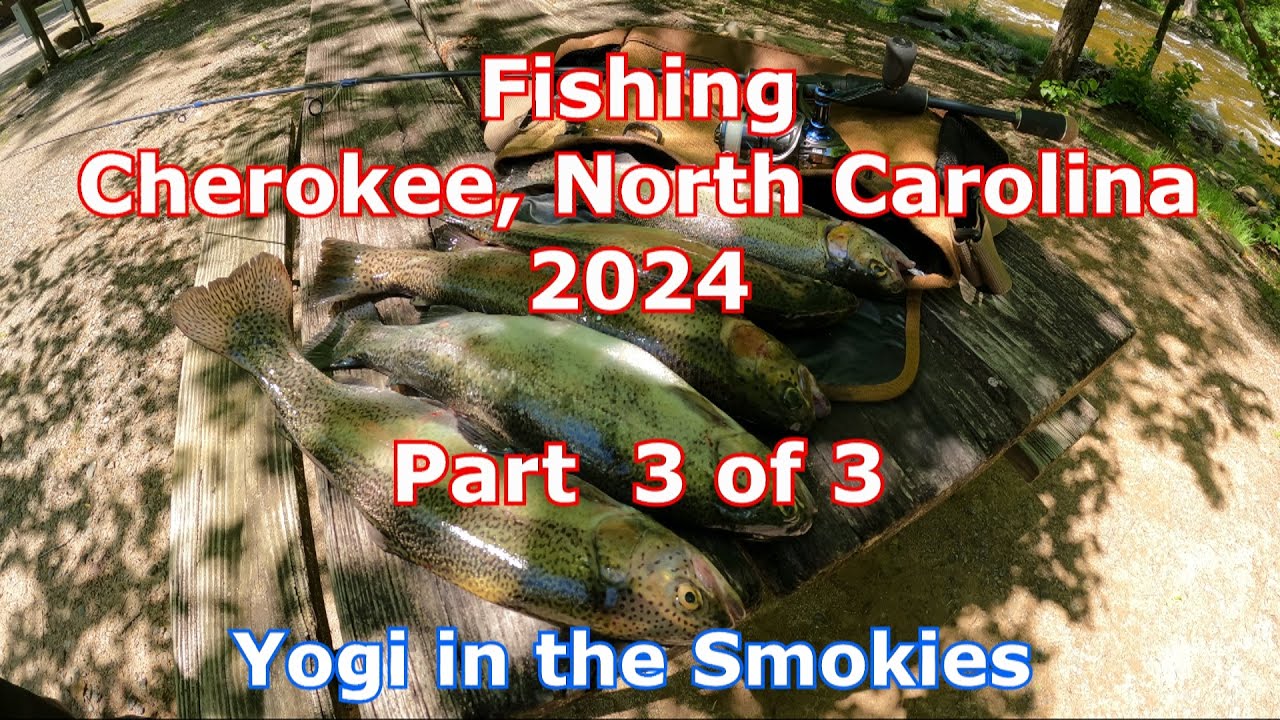 Fishing in Cherokee, NC 2024 Part 3