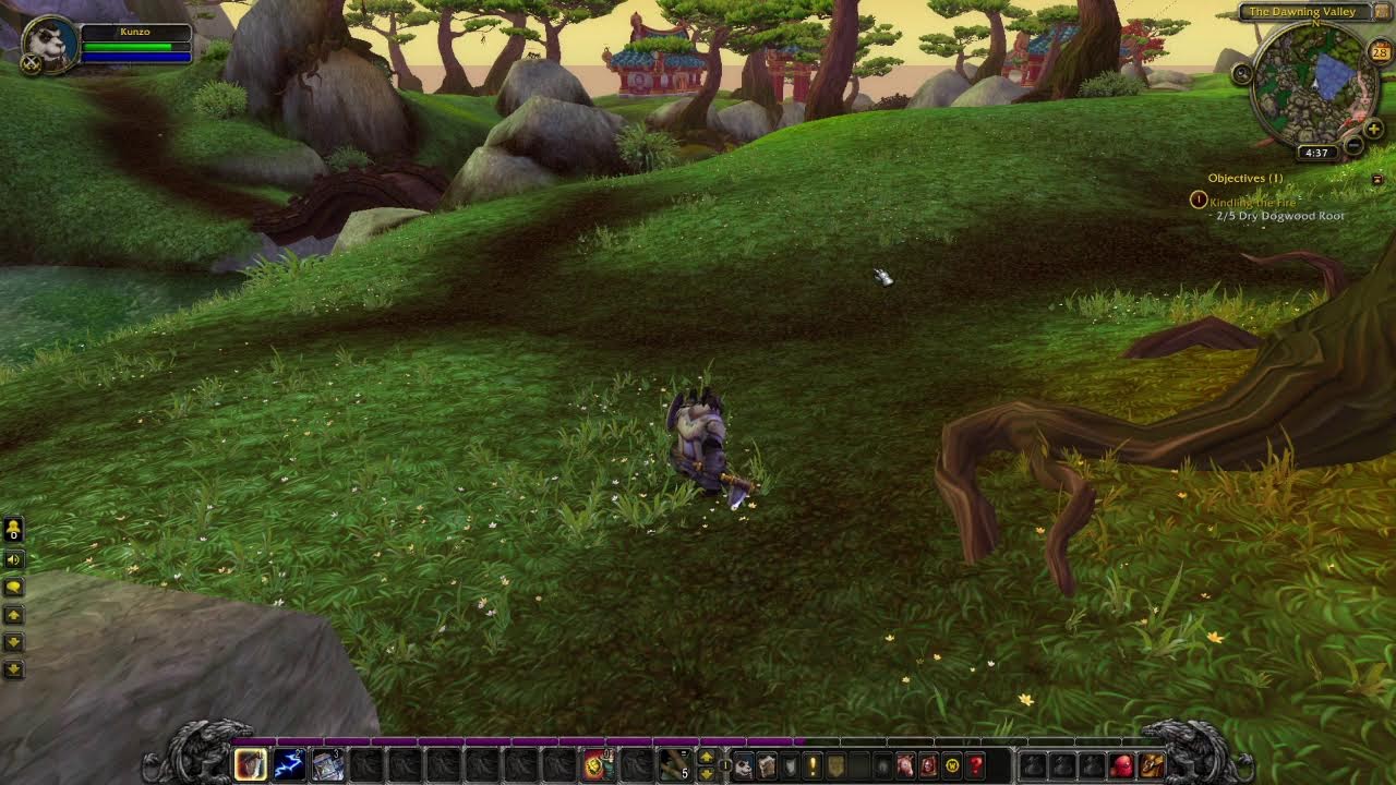 world of warcraft