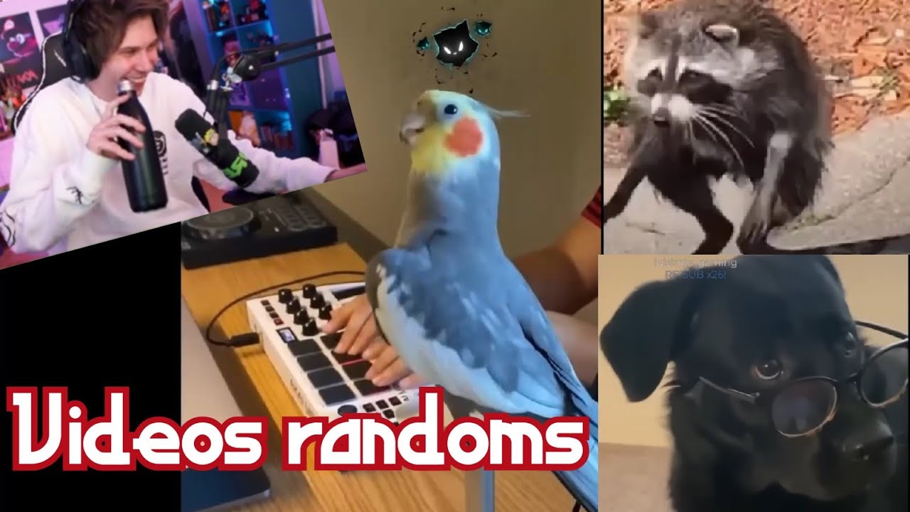 Rubius REACCIONA a VIDEOS RANDOMS y COSITAS #4