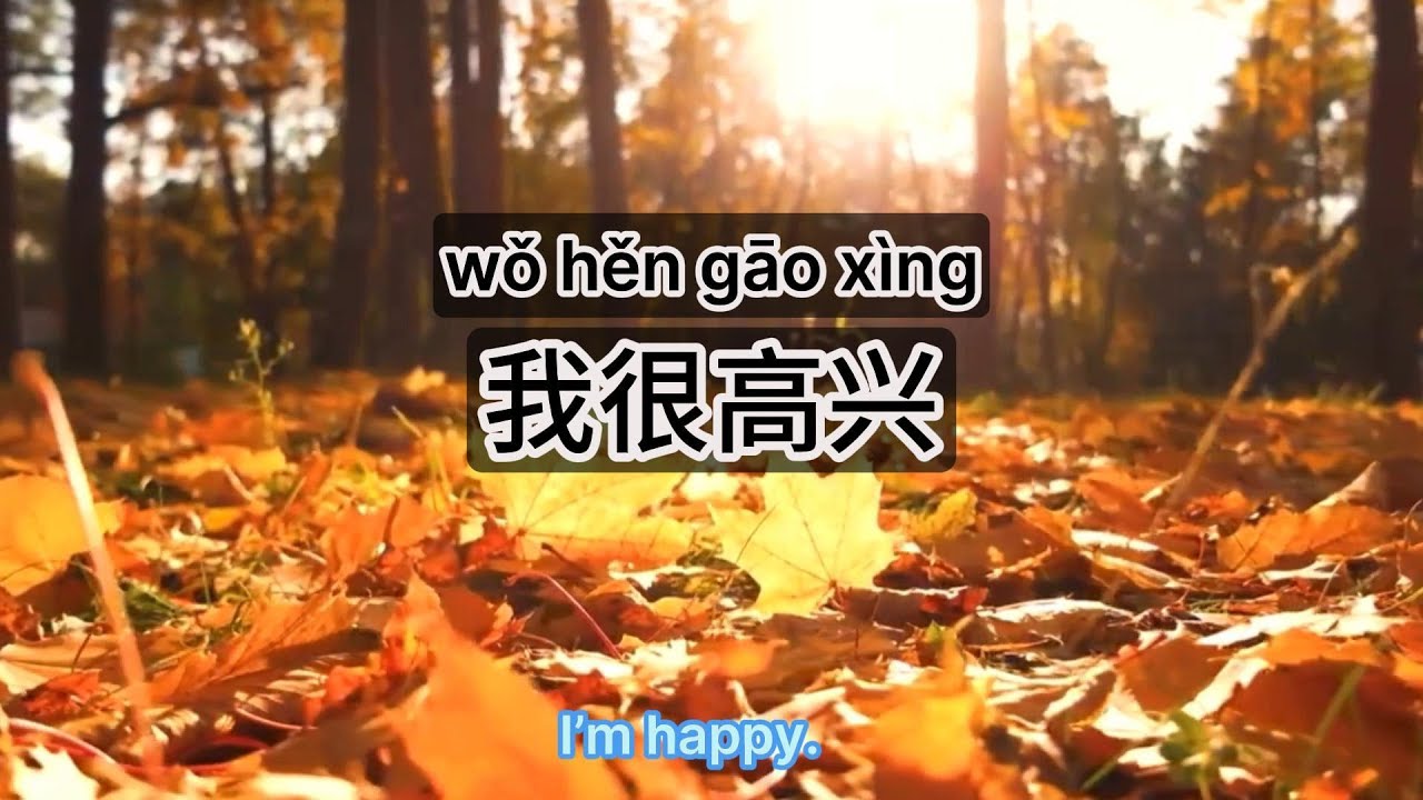 Chinese| Daily Chinese Speaking Conversations#chinese #中文