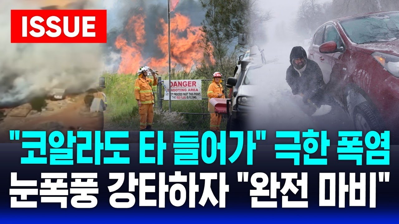 [🔴이슈] 지구 곳곳이 '아수라장' 호주는 폭염에 산불 '활활', 미국은 눈폭풍 강타...하루 만에 76cm 쌓였다 | SBS 이슈라이브