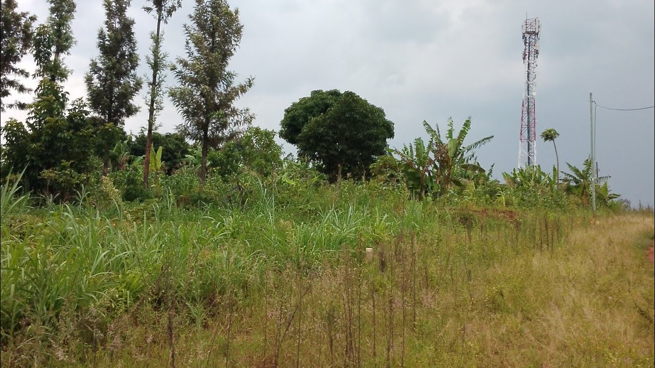 Banguka ugure ibibanza biri muri site karenge 3.5m 0738976017 ahantu heza