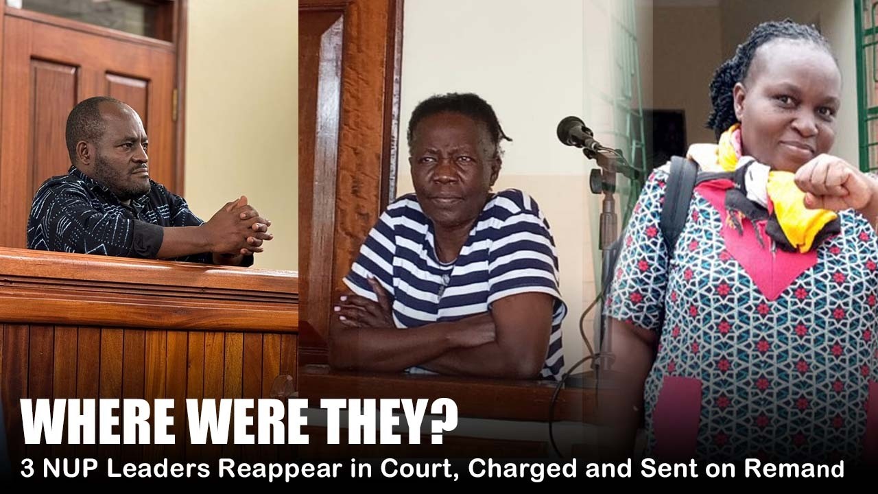 WHERE WERE THEY? | 3 NUP Leaders Reappear in Court, Charged and Sent on Remand #viral #viralvideo