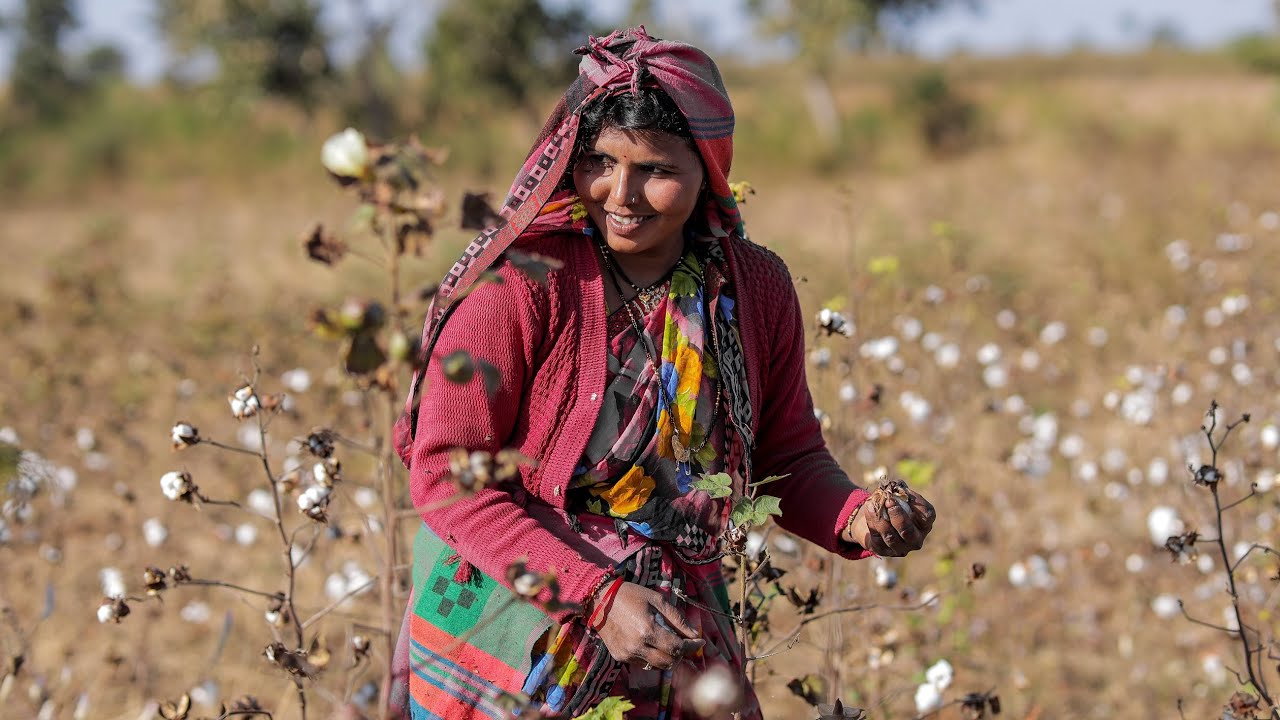 Sustainable Cotton Supply Chains (Trailer) | GIZ India | Ministry of Textiles | India