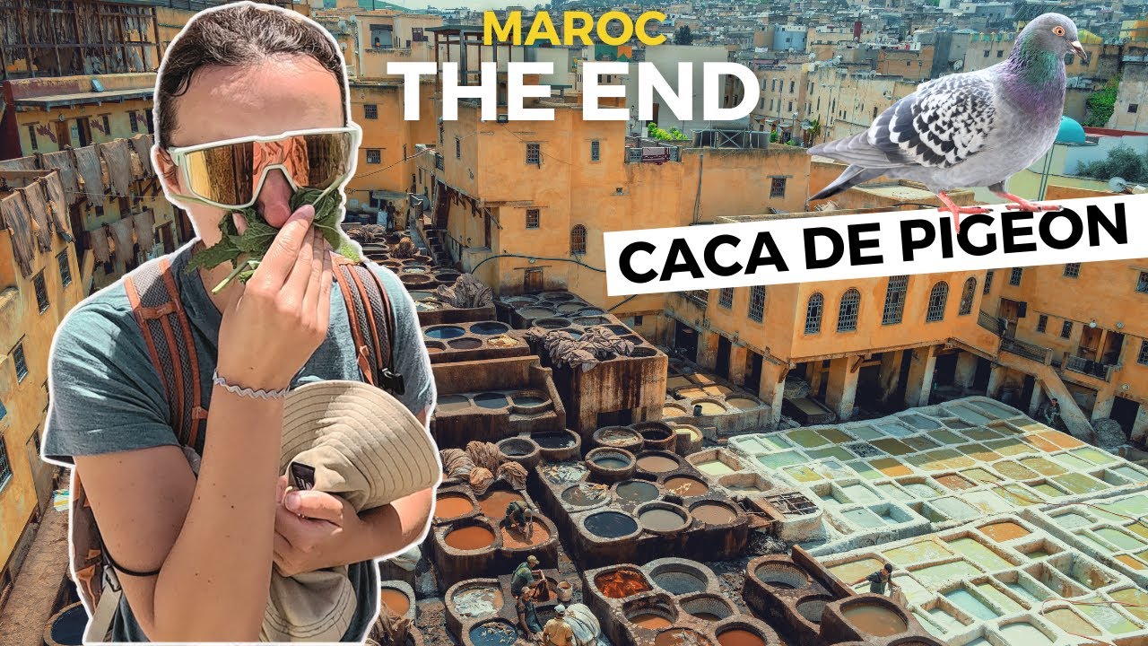 Descendre dans les bassins d’une tannerie marocaine ? (spoiler : ça pue VRAIMENT)