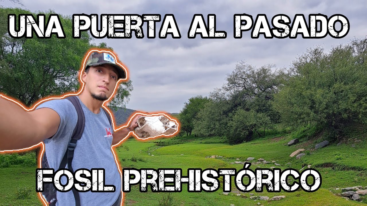 En este LUGAR hallaron un FOSIL, El Bajo De Véliz un lugar con Historia. Mariano Palleres